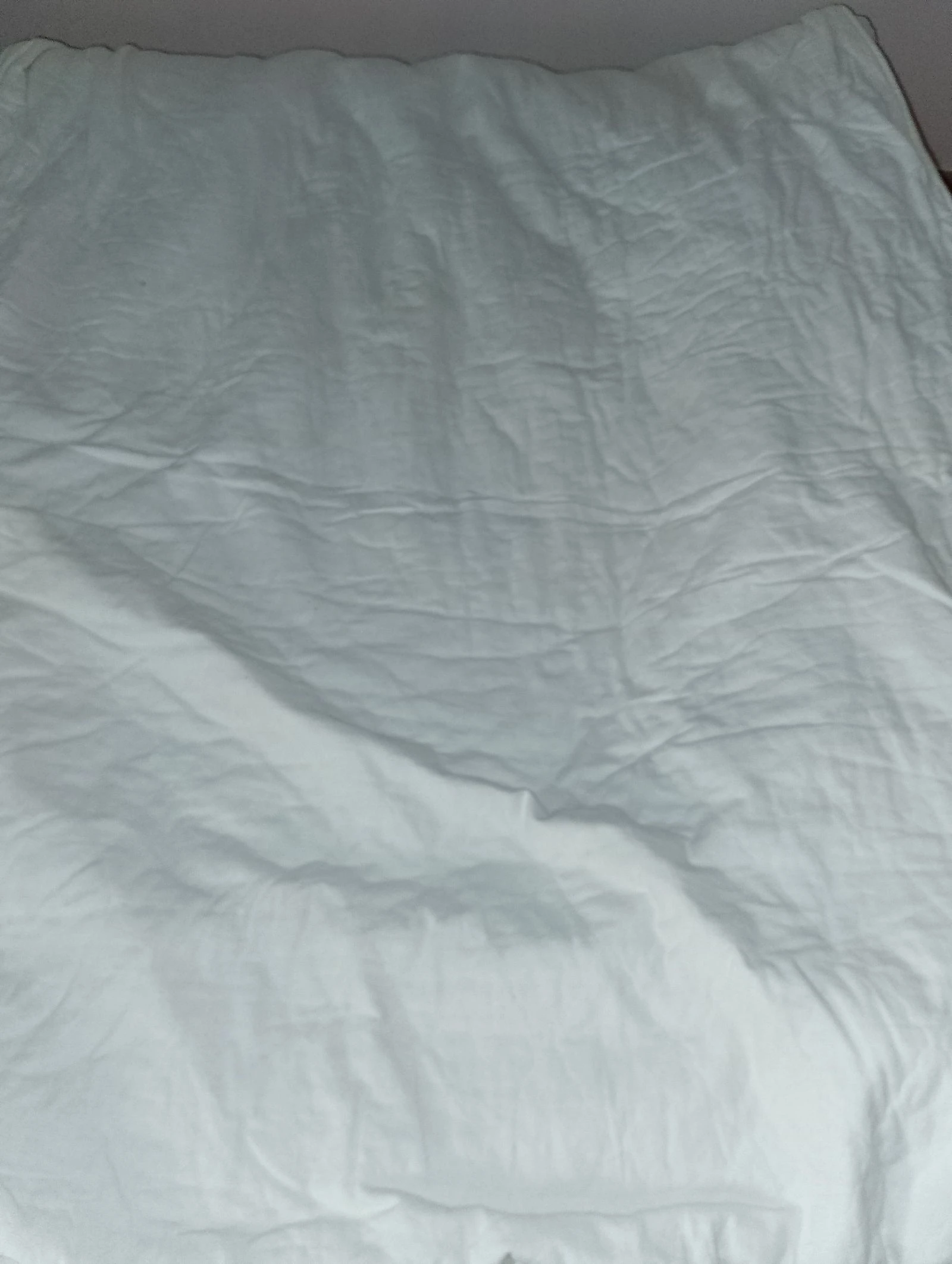 Surmatelas de pura lã virgem Planeta 140x190cm – photo 2